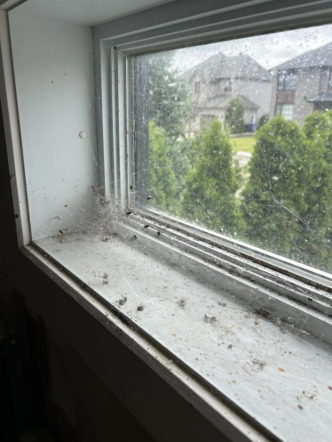 Dirty window & tracks