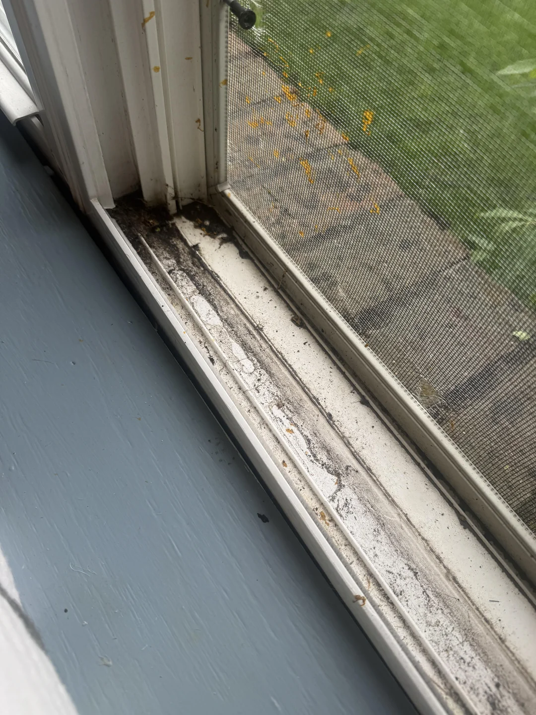how-to-keep-windows-clean-v0-or30nde0ixxg1 Window track before cleaning in palm desert
